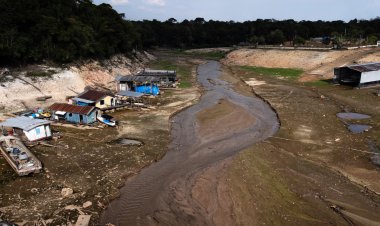 Seca na Amazônia Brasileira Aumenta Preocupações sobre o Futuro