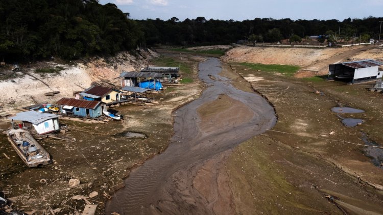 Seca na Amazônia Brasileira Aumenta Preocupações sobre o Futuro