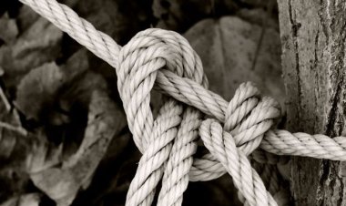 A Intersecção das Redes Sociais no Planejamento Urbano: Um Debate Acadêmico entre Mark Granovetter e Herbert J. Gans