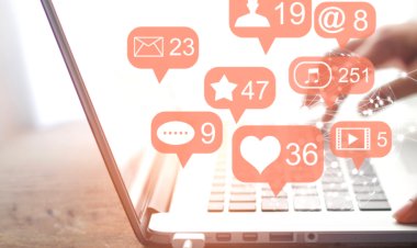 Destruição Criativa e Eficiência de Redes Sociais: A Importância dos Contatos Não Redundantes