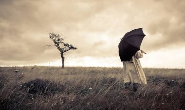 A Jornada de Davi: Enfrentando a Dor e Encontrando Esperança