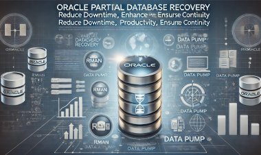 A Revolução na Recuperação de Dados: Como a Restauração Parcial de Bancos de Dados Oracle Está Transformando Empresas