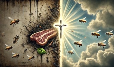 A Carne Podre Atrai a Mosca: Um Chamado ao Arrependimento