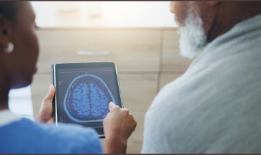 A Integração Cerebral: Como Sensação, Atenção, Memória e Integração Sensório-Motora Transformam Nosso Comportamento