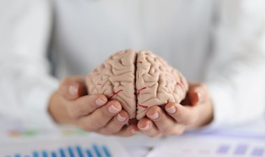 Entendendo a Mente Humana: Processos Cognitivos, Tomada de Decisão e a Evolução do Pensamento Racional