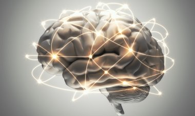 Tomada de Decisão, Criatividade e Psicologia Cognitiva: Como Nossa Mente Influencia Nossas Escolhas