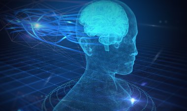 A Memória Humana: Como Funciona e Como Potencializá-la