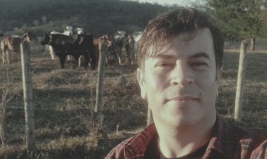 A Produção Leiteira no Brasil: Desafios, Qualidade e Lucratividade