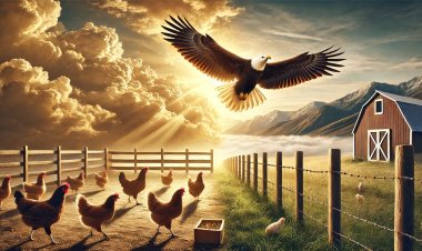 Entre o Chão e o Céu: A Escolha que Define Seu Destino