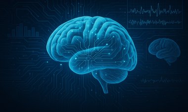 Cérebro e Medula: A Complexa Arquitetura do Sistema Nervoso Central e Seus Impactos na Saúde