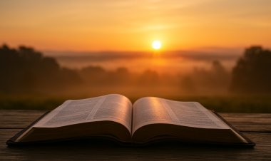 O Chamado Urgente da Sabedoria: Um Olhar Profundo sobre Provérbios 1