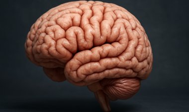 Emoções: o que a ciência já sabe sobre o que sentimos