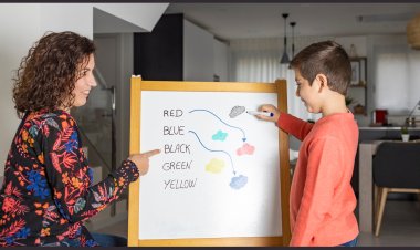 Linguagem, cognição e humanidade: a arquitetura invisível que molda quem somos