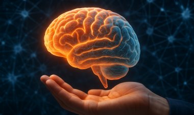 A Emoção como Pilar da Aprendizagem e do Desenvolvimento Humano